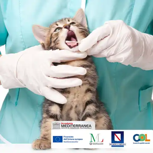 Operatore di animal care